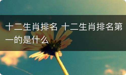 十二生肖排名 十二生肖排名第一的是什么