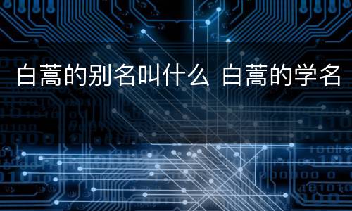 白蒿的别名叫什么 白蒿的学名
