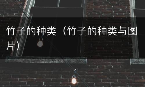竹子的种类（竹子的种类与图片）