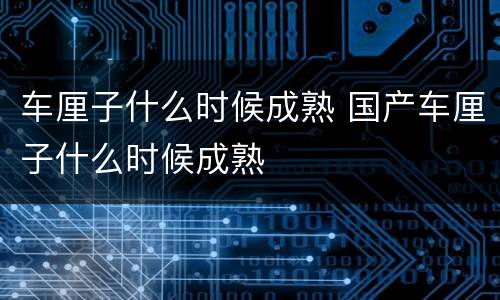 车厘子什么时候成熟 国产车厘子什么时候成熟