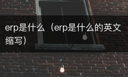 erp是什么（erp是什么的英文缩写）