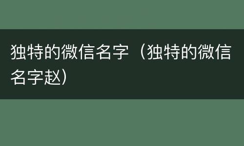独特的微信名字（独特的微信名字赵）