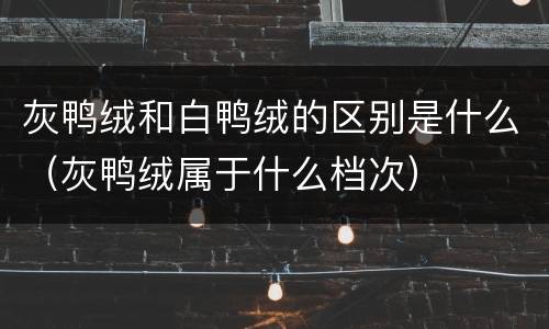 灰鸭绒和白鸭绒的区别是什么（灰鸭绒属于什么档次）