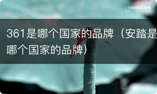 361是哪个国家的品牌（安踏是哪个国家的品牌）