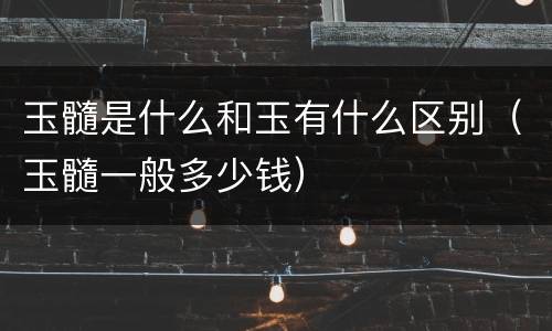玉髓是什么和玉有什么区别（玉髓一般多少钱）