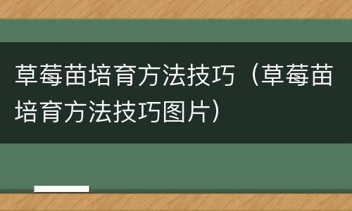 草莓苗培育方法技巧（草莓苗培育方法技巧图片）