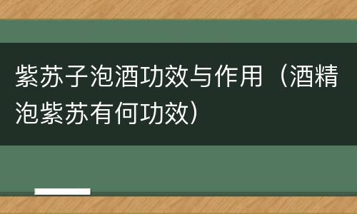 紫苏子泡酒功效与作用（酒精泡紫苏有何功效）