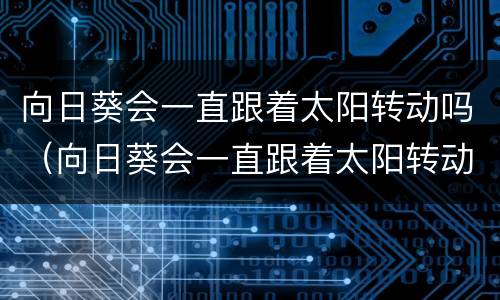 向日葵会一直跟着太阳转动吗（向日葵会一直跟着太阳转动吗）