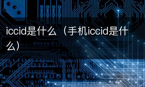 iccid是什么（手机iccid是什么）