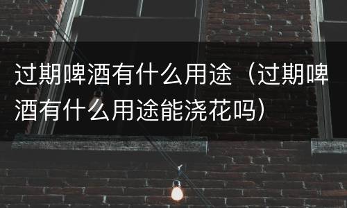 过期啤酒有什么用途（过期啤酒有什么用途能浇花吗）
