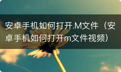 安卓手机如何打开.M文件（安卓手机如何打开m文件视频）