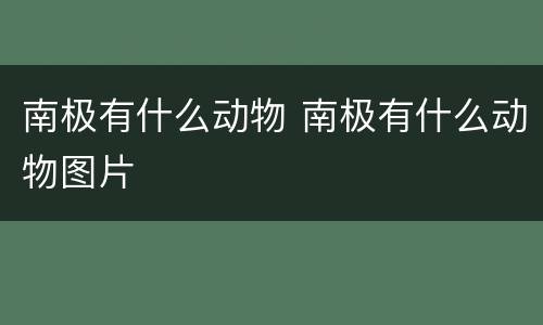南极有什么动物 南极有什么动物图片