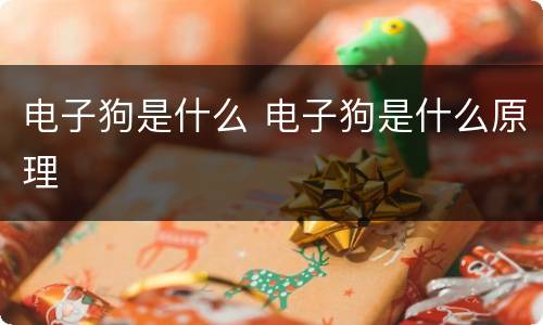 电子狗是什么 电子狗是什么原理