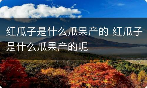 红瓜子是什么瓜果产的 红瓜子是什么瓜果产的呢