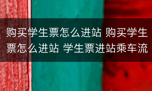 购买学生票怎么进站 购买学生票怎么进站 学生票进站乘车流程