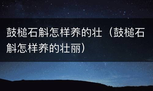 鼓槌石斛怎样养的壮（鼓槌石斛怎样养的壮丽）