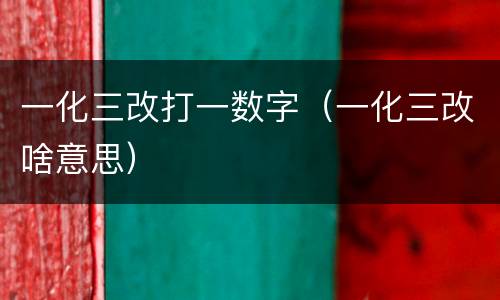 一化三改打一数字（一化三改啥意思）
