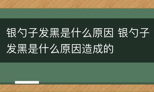 银勺子发黑是什么原因 银勺子发黑是什么原因造成的