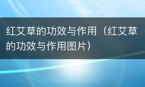 红艾草的功效与作用（红艾草的功效与作用图片）