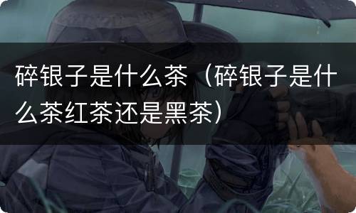 碎银子是什么茶（碎银子是什么茶红茶还是黑茶）