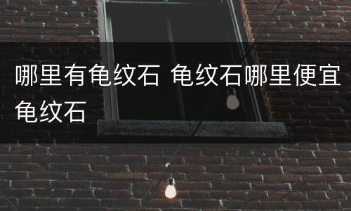 哪里有龟纹石 龟纹石哪里便宜龟纹石