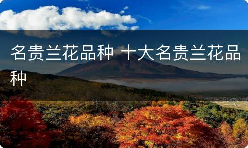 名贵兰花品种 十大名贵兰花品种