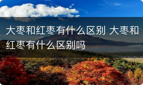 大枣和红枣有什么区别 大枣和红枣有什么区别吗