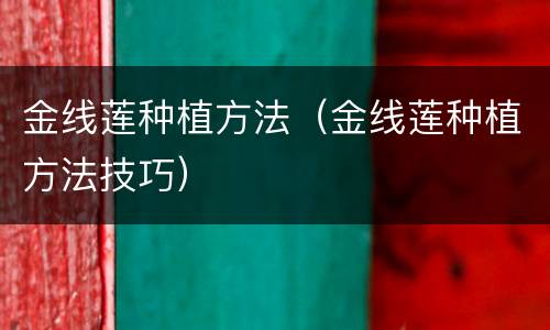 金线莲种植方法（金线莲种植方法技巧）