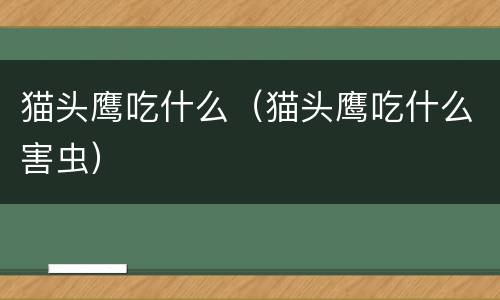猫头鹰吃什么（猫头鹰吃什么害虫）