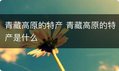 青藏高原的特产 青藏高原的特产是什么