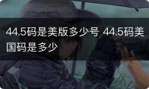 44.5码是美版多少号 44.5码美国码是多少