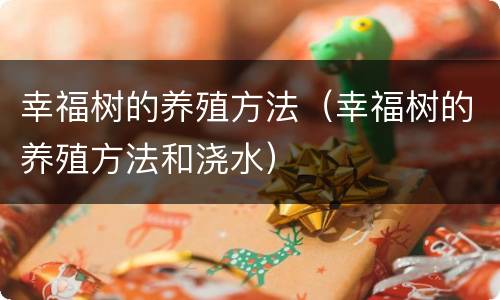 幸福树的养殖方法（幸福树的养殖方法和浇水）