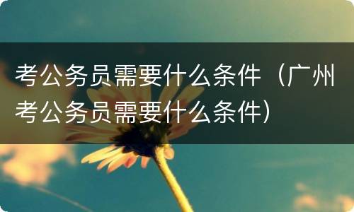 考公务员需要什么条件（广州考公务员需要什么条件）