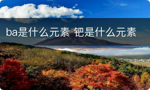 ba是什么元素 钯是什么元素