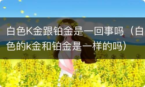 白色K金跟铂金是一回事吗（白色的k金和铂金是一样的吗）