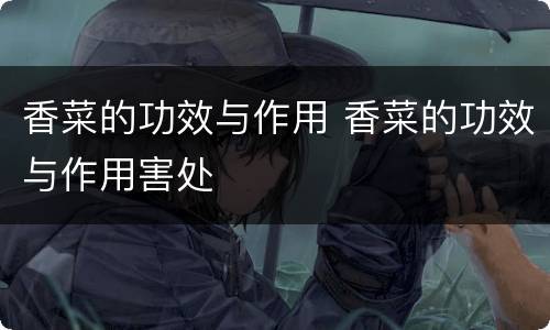 香菜的功效与作用 香菜的功效与作用害处