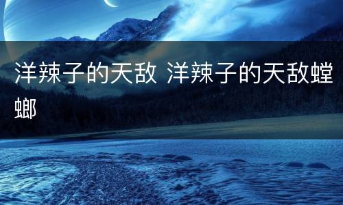 洋辣子的天敌 洋辣子的天敌螳螂