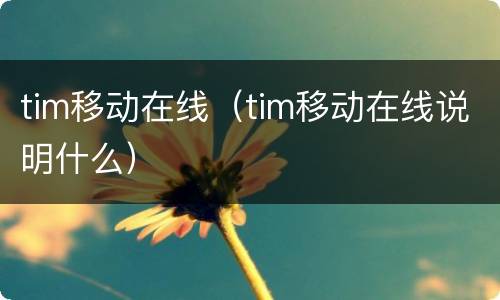 tim移动在线（tim移动在线说明什么）