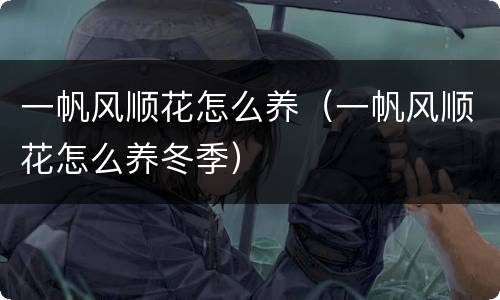 一帆风顺花怎么养（一帆风顺花怎么养冬季）