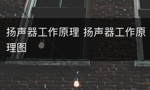 扬声器工作原理 扬声器工作原理图