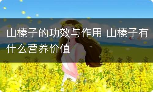 山榛子的功效与作用 山榛子有什么营养价值
