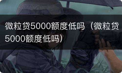 微粒贷5000额度低吗（微粒贷5000额度低吗）