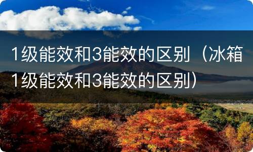 1级能效和3能效的区别（冰箱1级能效和3能效的区别）