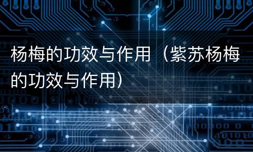 杨梅的功效与作用（紫苏杨梅的功效与作用）