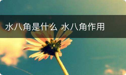 水八角是什么 水八角作用