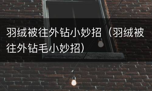 羽绒被往外钻小妙招（羽绒被往外钻毛小妙招）