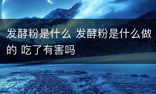 发酵粉是什么 发酵粉是什么做的 吃了有害吗