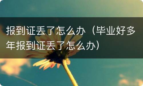 报到证丢了怎么办（毕业好多年报到证丢了怎么办）
