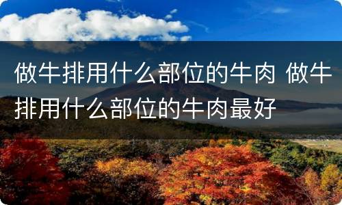 做牛排用什么部位的牛肉 做牛排用什么部位的牛肉最好