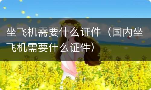 坐飞机需要什么证件（国内坐飞机需要什么证件）